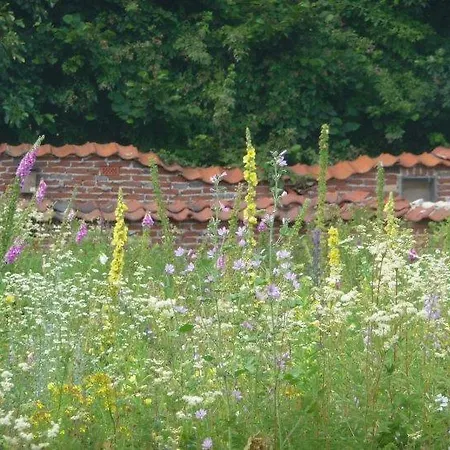 Bed & Breakfast Het Loo *