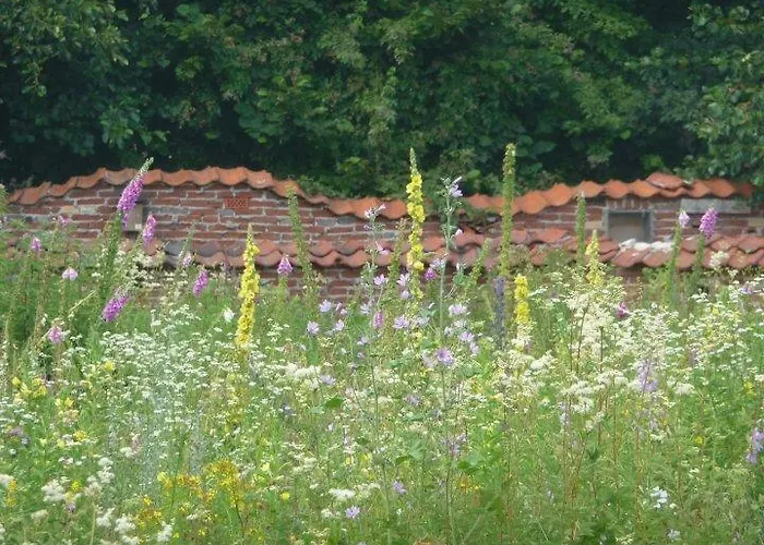 Bed & Breakfast Het Loo *