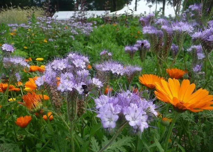 Bed & Breakfast Het Loo Bergeijk